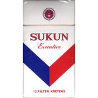 sokon-gandeng-agnes-monica-jadi-brand-ambassador-dfsk-glory-580