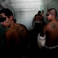 sadisnya-geng-di-amerika-mengalahi-kejamnya-yakuza