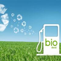 bahan-bakar-minyak-penggunaan-biodiesel-dipercepat