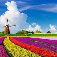 ente-mungkin-gak-tau-hal-hal-keren-ini-ada-di-belanda