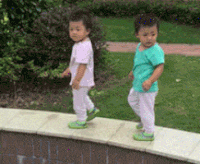 gara-gara-tak-memperhatikan-langkah-kakinya-singa-jantan-ini-tercebur-ke-parit