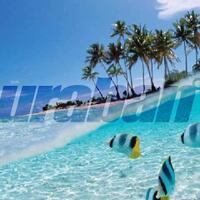 ecobrick-sistem-daur-ulang-sampah-plastik-yang-ramah-lingkungan