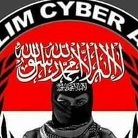 media-inggris-ungkap-kerja-tim-buzer-ahok-obok-obok-umat-islam-saat-pilgub-2017