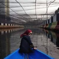 jakarta-instagramable-di-era-anies-sandy