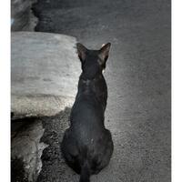 alun-alun-nikonian---part-14