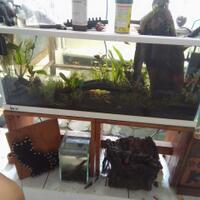 aquascape-for-everyone-learning-and-sharing---part-3