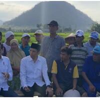 jalan-bareng-jokowi-tgb-dielu-elukan--ri-2
