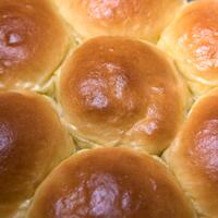 alun-alun-nikonian---part-14