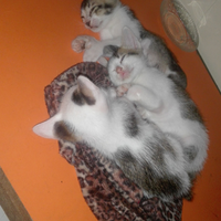 welcome-to-my-basement