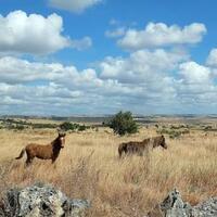 selamat-ini-12-agus-yang-liburan-gratis-ke-sumba