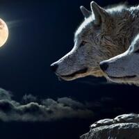 historical-role-play---war-of-the-6-emperors