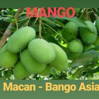 harta-kekayaan-prabowo---sandi-lebih-rp-5-triliun