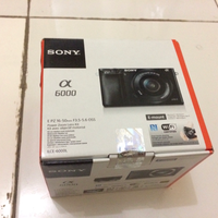 new-pendopo-sony-alpha---part-2