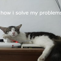 7-hal-yang-dibenci-kucing-dari-majikannya-pecinta-kucing-masuk