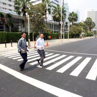 arti-pelican-crossing-dan-bedanya-dengan-zebra-cross