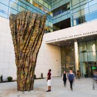 anies-sebut--bambu--di-bundaran-hi-bukan-bentuk-sindiran