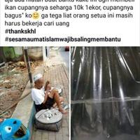 mengenal-ikan-cupang-yang-memukau-dunia-pic