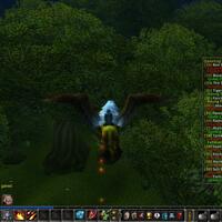 beta-tester-wanted-wow-private-server-indonesia