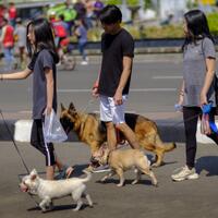 kavling-fujifilm-reborn---part-1