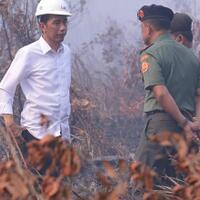 ini-alasan-jokowi-divonis-melawan-hukum-di-kasus-kebakaran-hutan