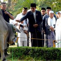 presiden-ingatkan-iduladha-momentum-berbagi