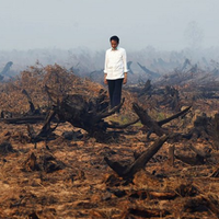 jokowi-divonis-bersalah-kasus-kebakaran-hutan-kita-hormati