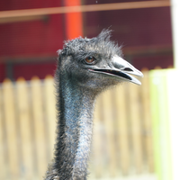 new-pendopo-sony-alpha---part-2