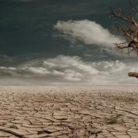 sejumlah-wilayah-di-sultra-rawan-terbakar-dan-kekeringan