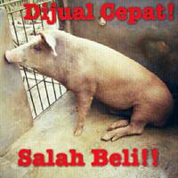 ngakak-takut-disembelih-begini-cara-hewan-kurban-mengelabui-tuannya