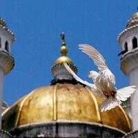 mui-sebut-kemenag-diskriminatif-soal-pengeras-suara-masjid