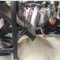 menko-darmin-sebut-18-juta-ton-beras-impor-sudah-masuk-ri