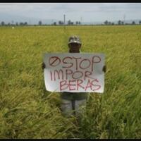 menteri-enggar-buka-suara-soal-impor-beras-2-juta-ton