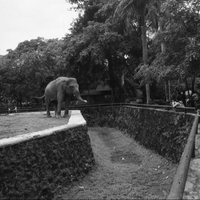 warung-ngumpul-penggemar-kamera-analog---part-5