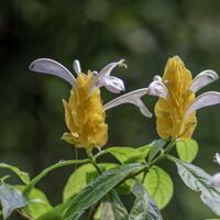 saung-lensa-manual---part-5