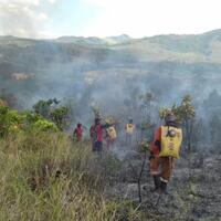 1500-hektare-hutan-di-kalsel-dilalap-api