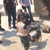 seorang-pria-ditangkap-usai-melempar-bom-dekat-kedubes-as-di-kairo