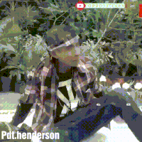 ahok-dikabarkan-akan-nikahi-polwan-mantan-ajudan-veronica-tan