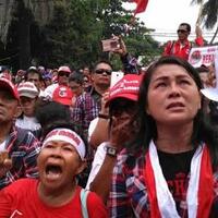 bangunan-polsek-sebangki-dirusak-kawanan-babi-kapolsek-cari-solusi