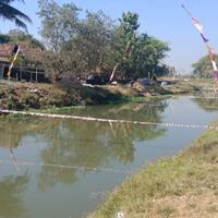 mancing-gratis-9-september-10-ton-ikan-bakal-ditebar-di-selokan-mataram