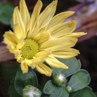 new-pendopo-sony-alpha---part-2