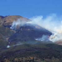 akibat-kebakaran-hutan-jalur-pendakian-gunung-sindoro-ditutup