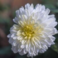 new-pendopo-sony-alpha---part-2