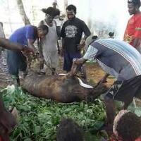 tommy-soeharto-di-papua-20-tahun-reformasi-utang-semakin-besar