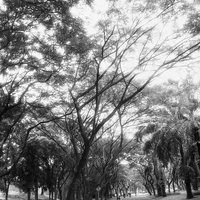 warung-ngumpul-penggemar-kamera-analog---part-5