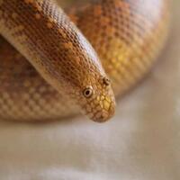 lucu-dan-antik-begini-penampakan-poster-iklan-jaman-dulu