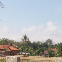 gue-itu-penakut-tapi-suka-poto--video-horror-aslinyalo