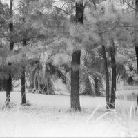 warung-ngumpul-penggemar-kamera-analog---part-5