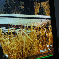 lounge-ps4-hacked-hen-community--discussion-fat-slim--pro