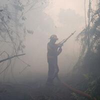 gegara-puntung-rokok-tiga-hektare-lahan-di-majene-terbakar