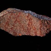 facial-vampir-hingga-bakteri-listrik-ini-7-penemuan-sains-paling-menghebohkan